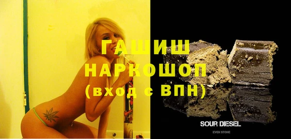 мдпв Каменногорск