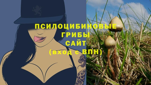 гидропоника Каменск-Шахтинский