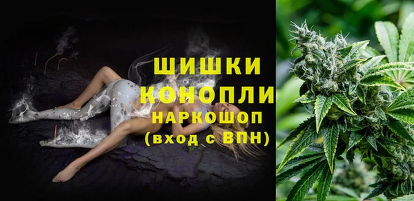 гидропоника Каменск-Шахтинский