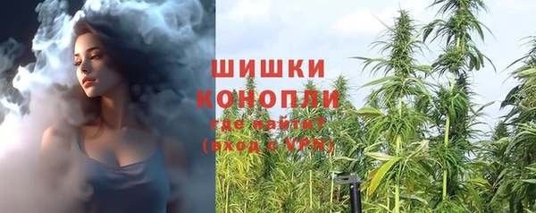 мдпв Каменногорск