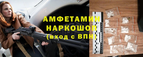 мдпв Каменногорск