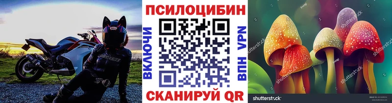 кракен ссылки  Артём  Псилоцибиновые грибы Psilocybine cubensis 